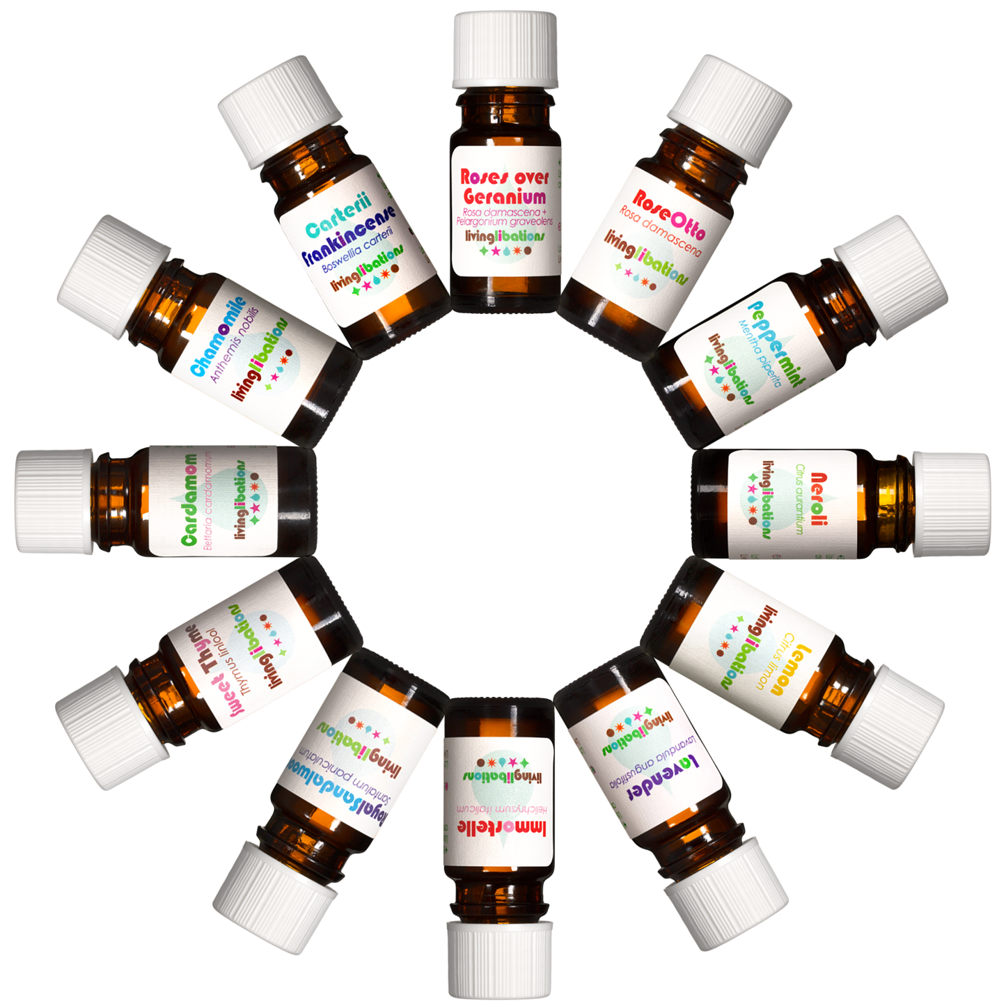 Nadine's Top Twelve - Essential Oil Kit