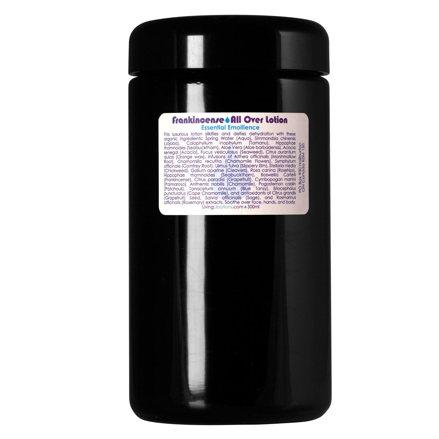 Frankincense All Over Lotion - Professional Sizes