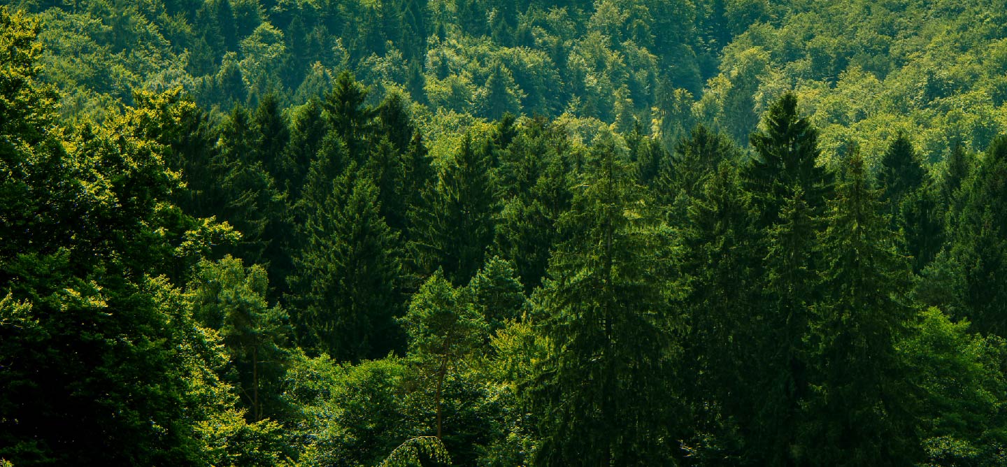 Living Libations Bio-Tau-Tupfen – Ozonisierter Schönheitsbalsam, 5,7 G / 6 Ml, Für Strahlende Haut
