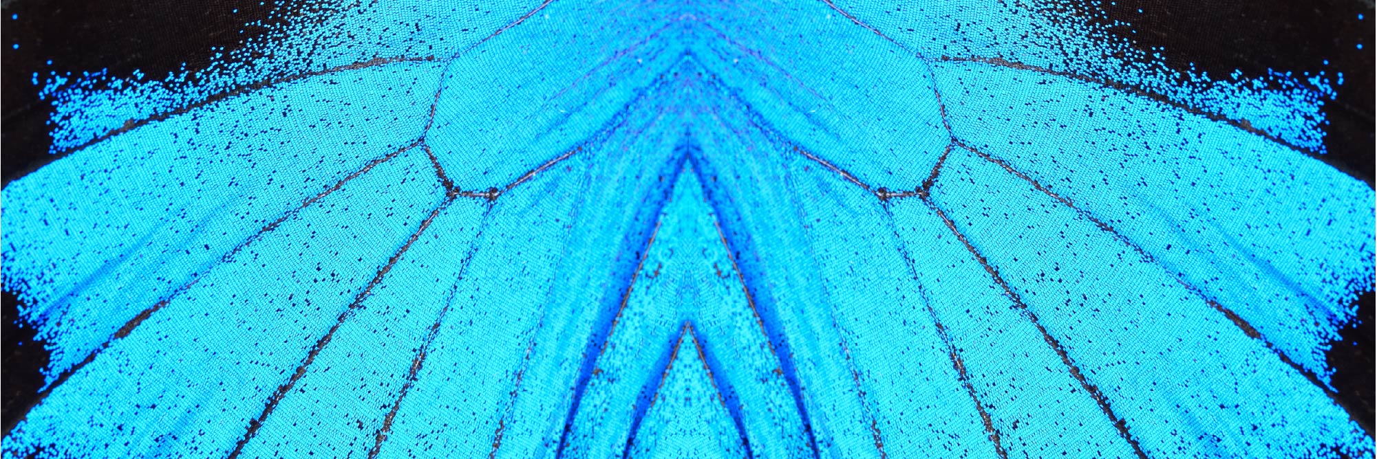 The philosophy and living color of Cosmoetics is about adornment as an act of nourishment