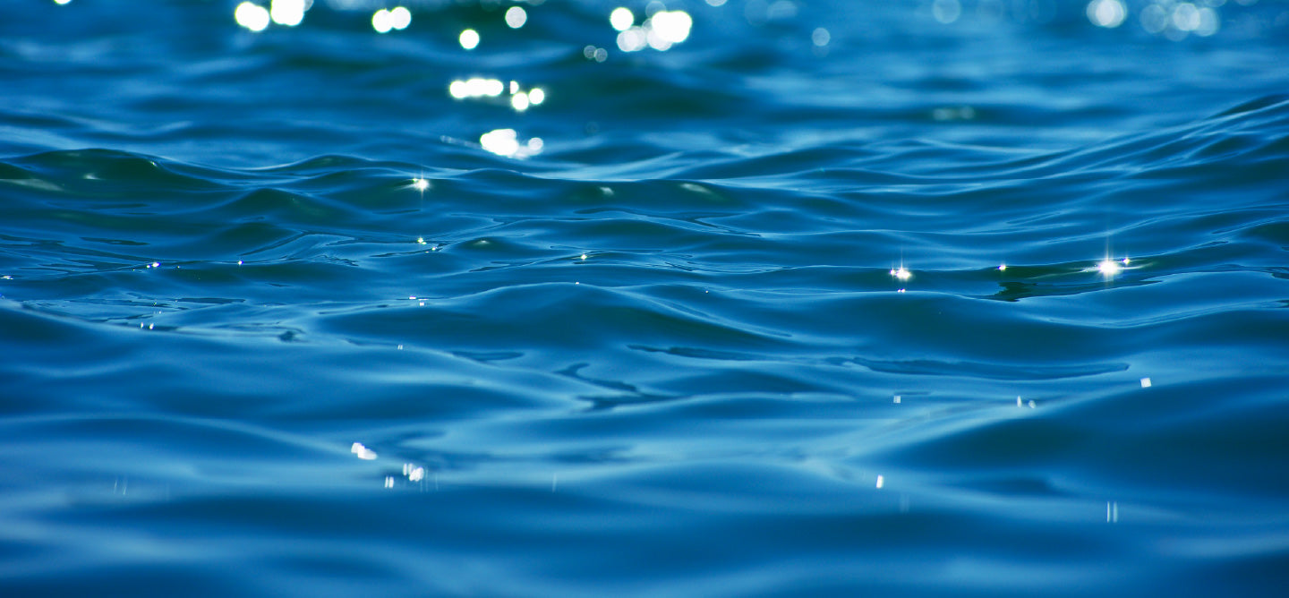 Ethereal Chamazulene Azulene Cape Chamomile German Blue Chamomile Yarrow Blue Tansy