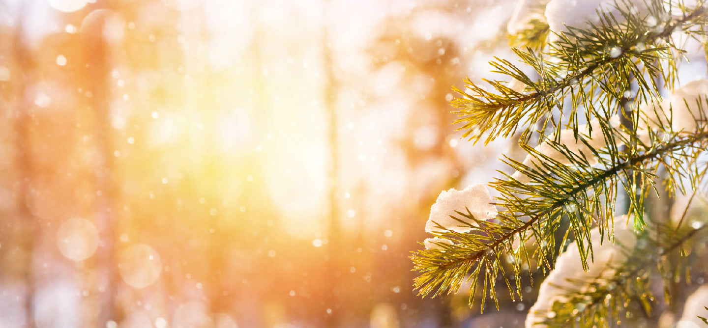 Living Libations Solstice Seasonal Gift Guide Essential Oil Connoisseur Skincare Aficionado