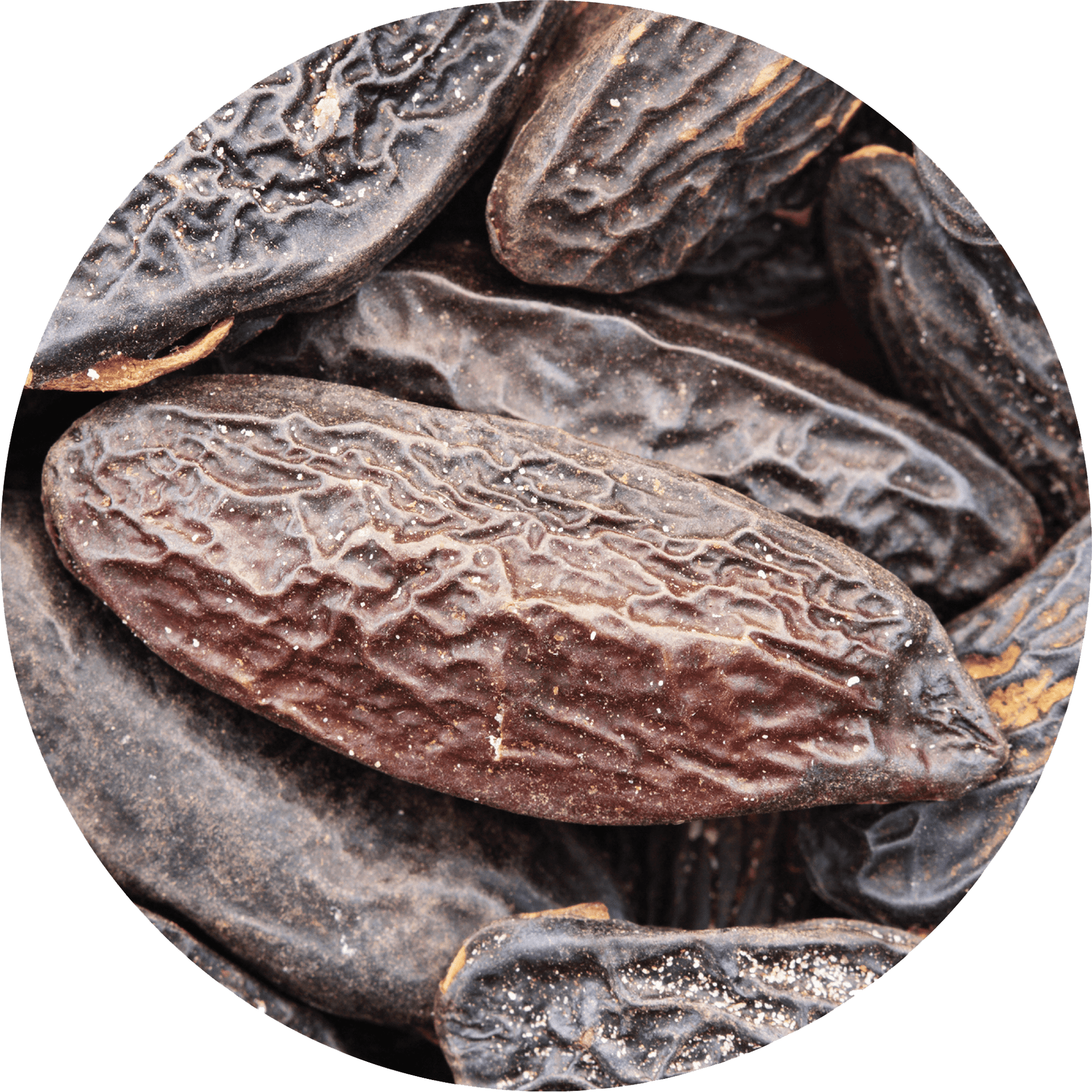 tonka bean tobacco Banana Republic & Eau De Parfum For Unisex  Banana Republic Tobacco What Does Tonka Bean Smell
