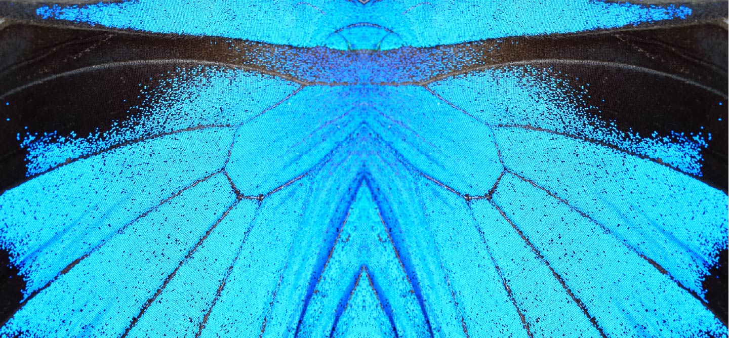 Makeup that Nourishes