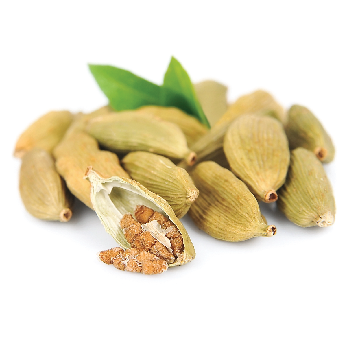 Cardamom Essential Oil