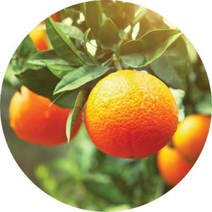 Clementine Essential Oil