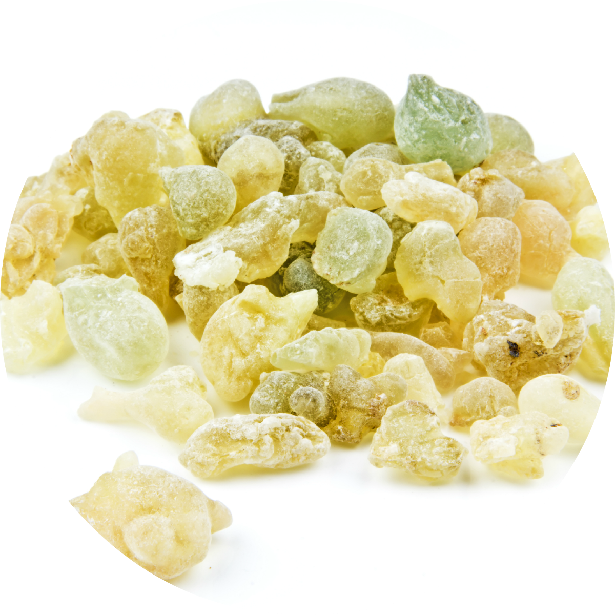 Frankincense, Serrata Essential Oil