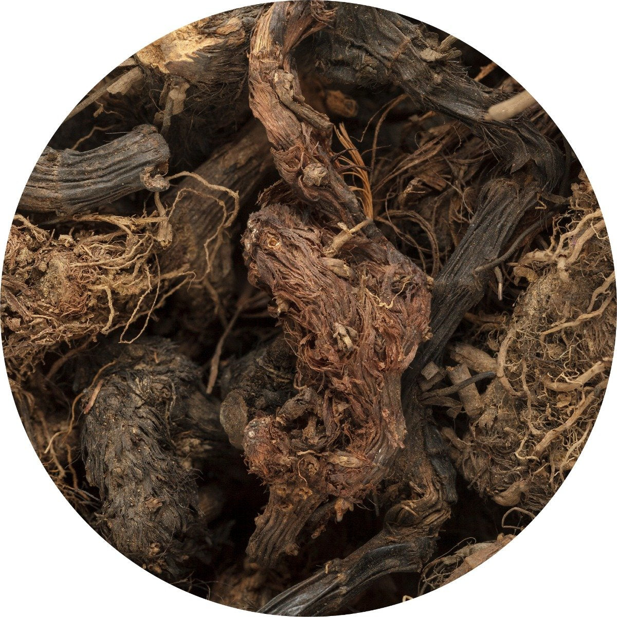 Spikenard Essential Oil – Living Libations® Official Website