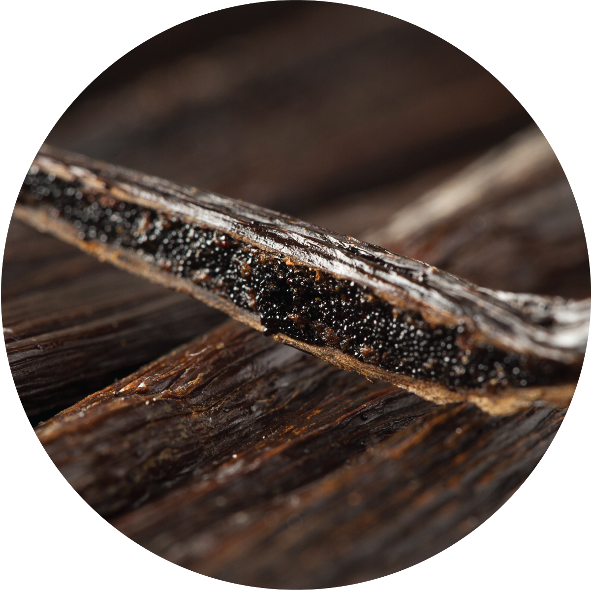 Vanilla - Essential Oil