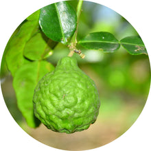 Load image into Gallery viewer, Bergamot Essential Oil