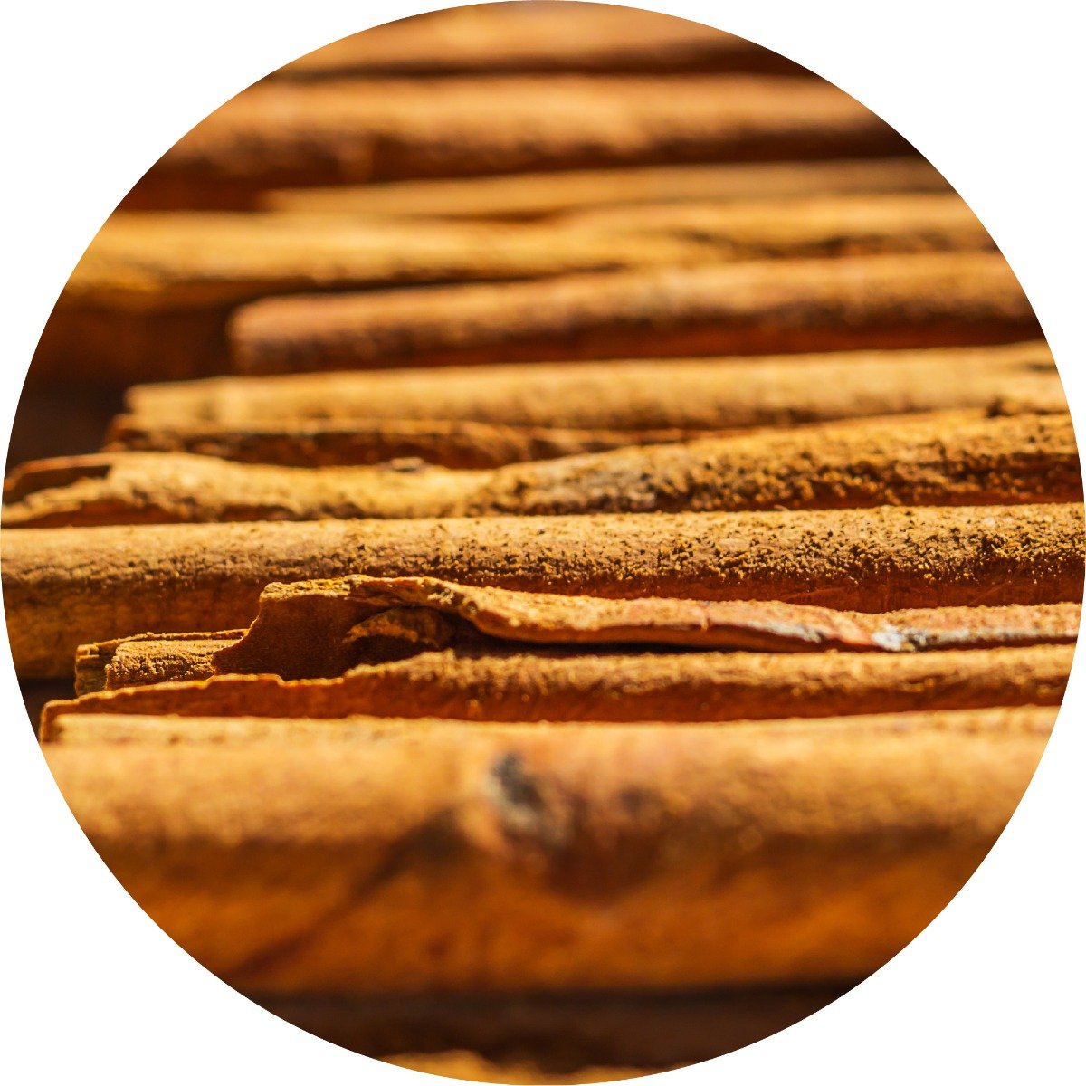 Discover Solutions: Cinnamon Bark