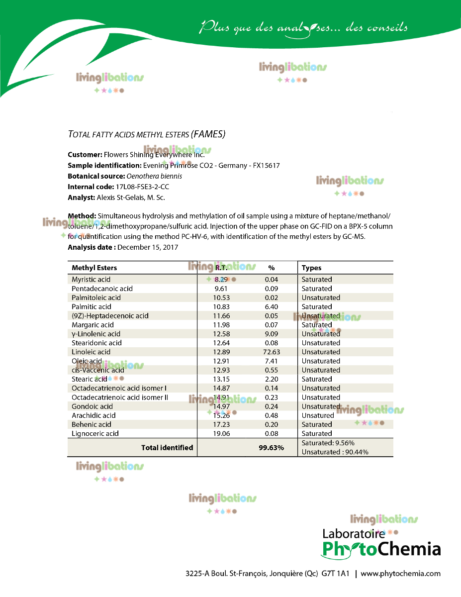 Evening Primrose Carrier Oil
