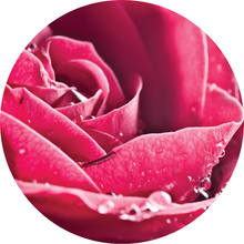 Load image into Gallery viewer, Rose Attar Essential Oil
