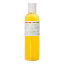 Load image into Gallery viewer, Seabuckthorn Shampoo - Fast Shipping