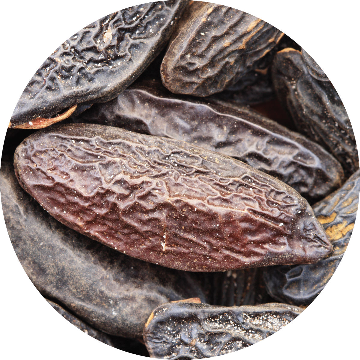 Ancient Healer Tonka Beans - Price in India, Buy Ancient Healer Tonka Beans  Online In India, Reviews, Ratings & Features