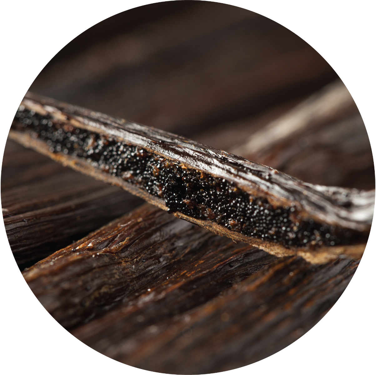 Vanilla Essential Oil – Living Libations